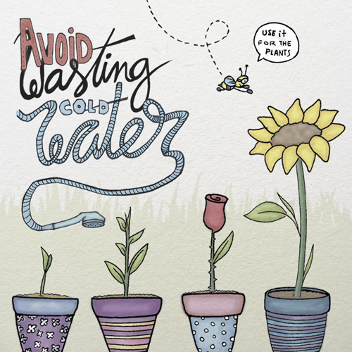 Evita di sprecare l’acqua fredda, usala per le piante